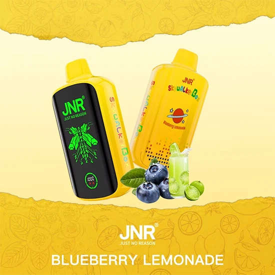 Jnr Skywalker Box 21000 Puff Disposable Vape